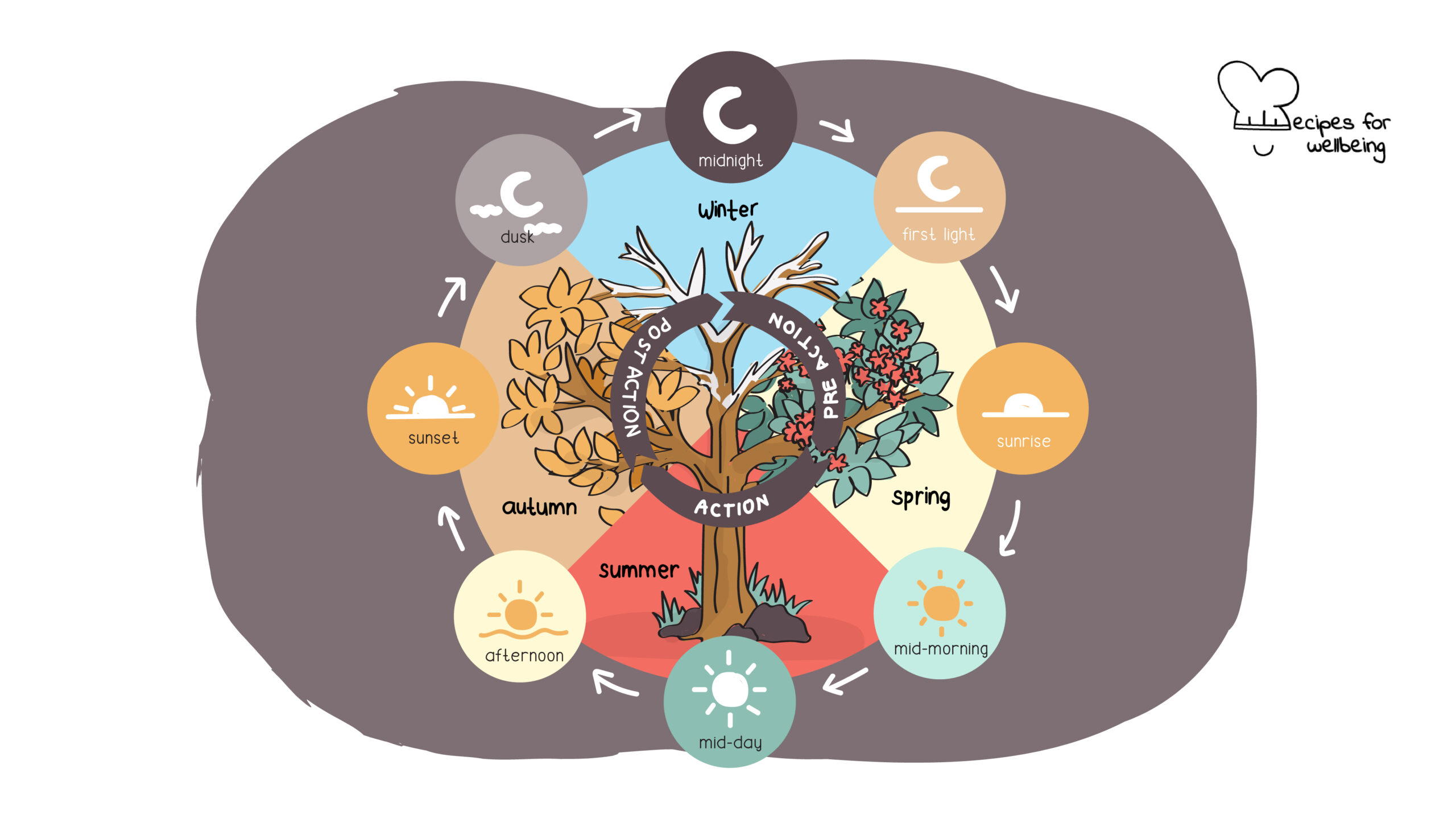 The regenerative action cycle Illustration of the regenerative action cycle, which includes three phases (pre-action, action, and post-action) spread around the four seasons (winter, spring, summer, and autumn) and times of the day (midnight, first light, sunrise, mid-morning, mid-day, afternoon, sunset, and dusk). © Recipes for Wellbeing